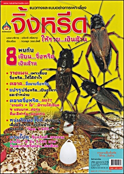 ྪûС